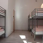 Mango Vandrerhjem *